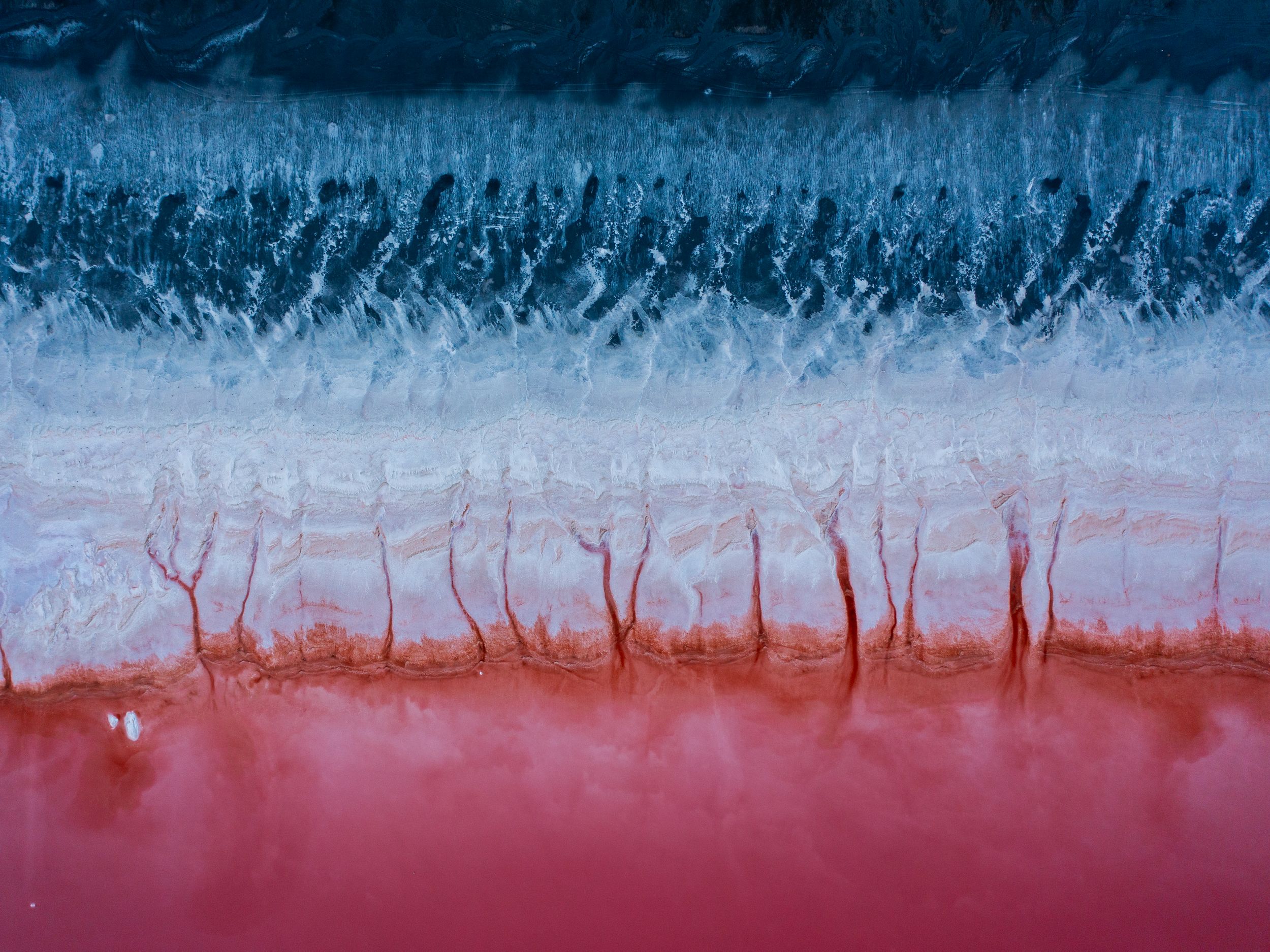 Aerial view of Lake Urmia, Iran, with bands of blue water, white salt crust, and red algae-colored shallows.