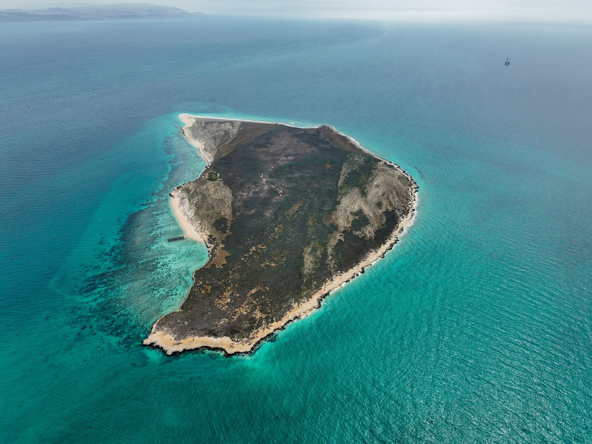 Maro Island (2022) - Persian Gulf - Iran