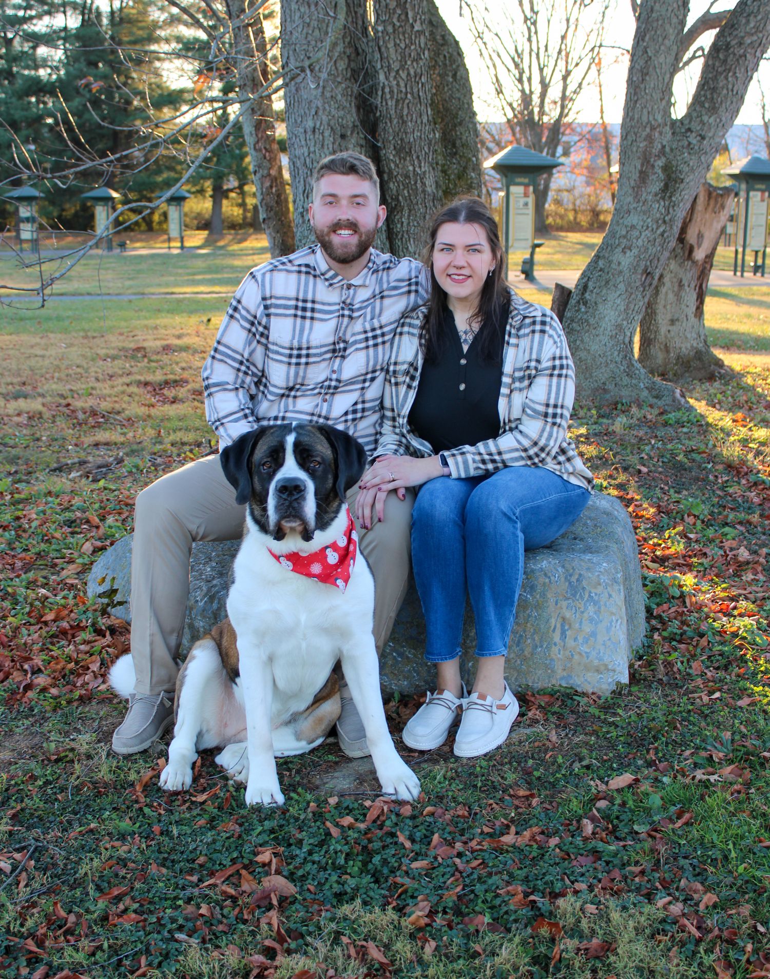 Couple in matching plaid shirts sitting on a rock with their Saint Bernard dog wearing a red bandana outdoors.