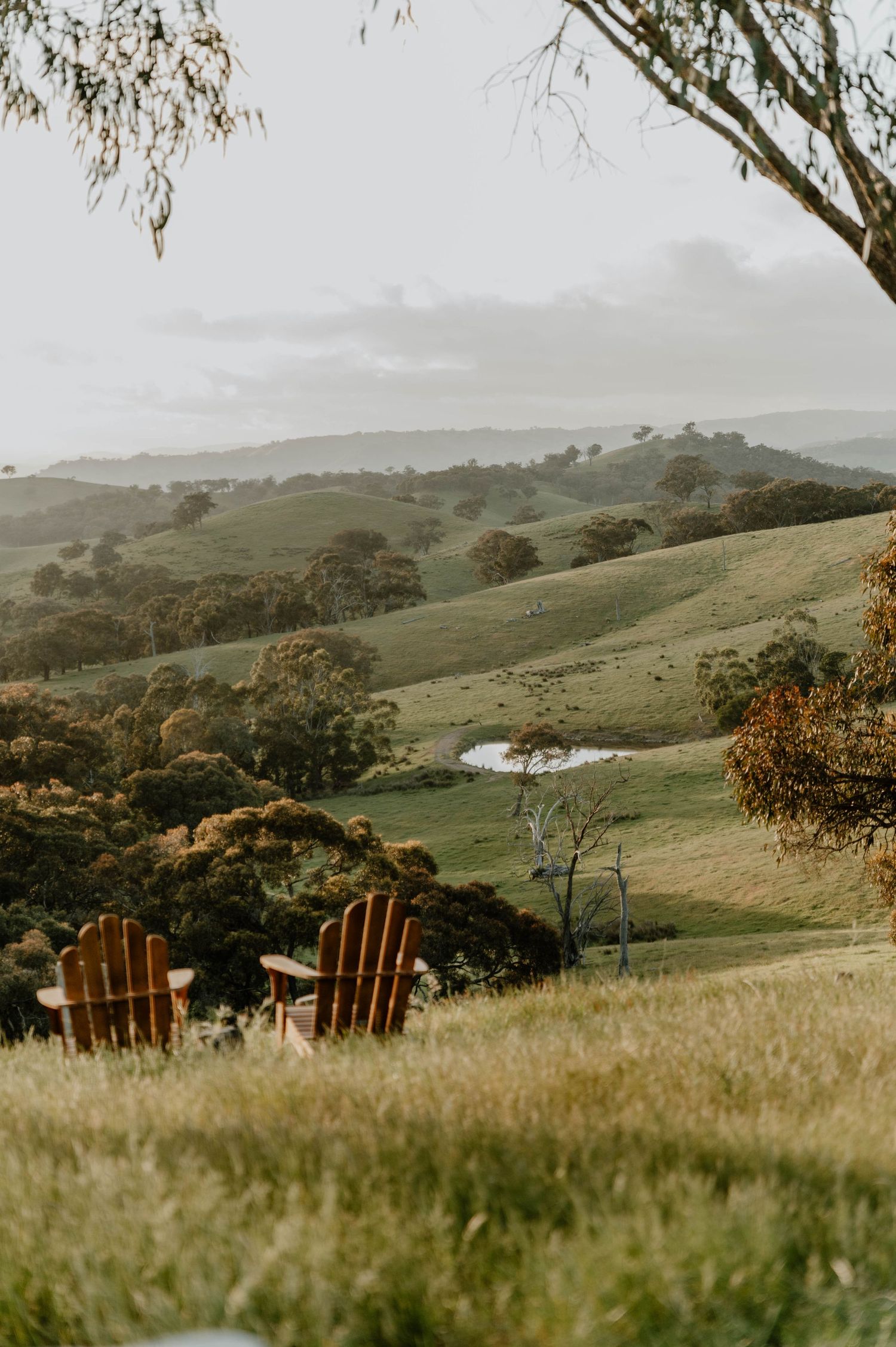 Rolling green hills with Adirondack chairs overlooking pastoral Australian landscape with small dam, gum trees and misty mountains.