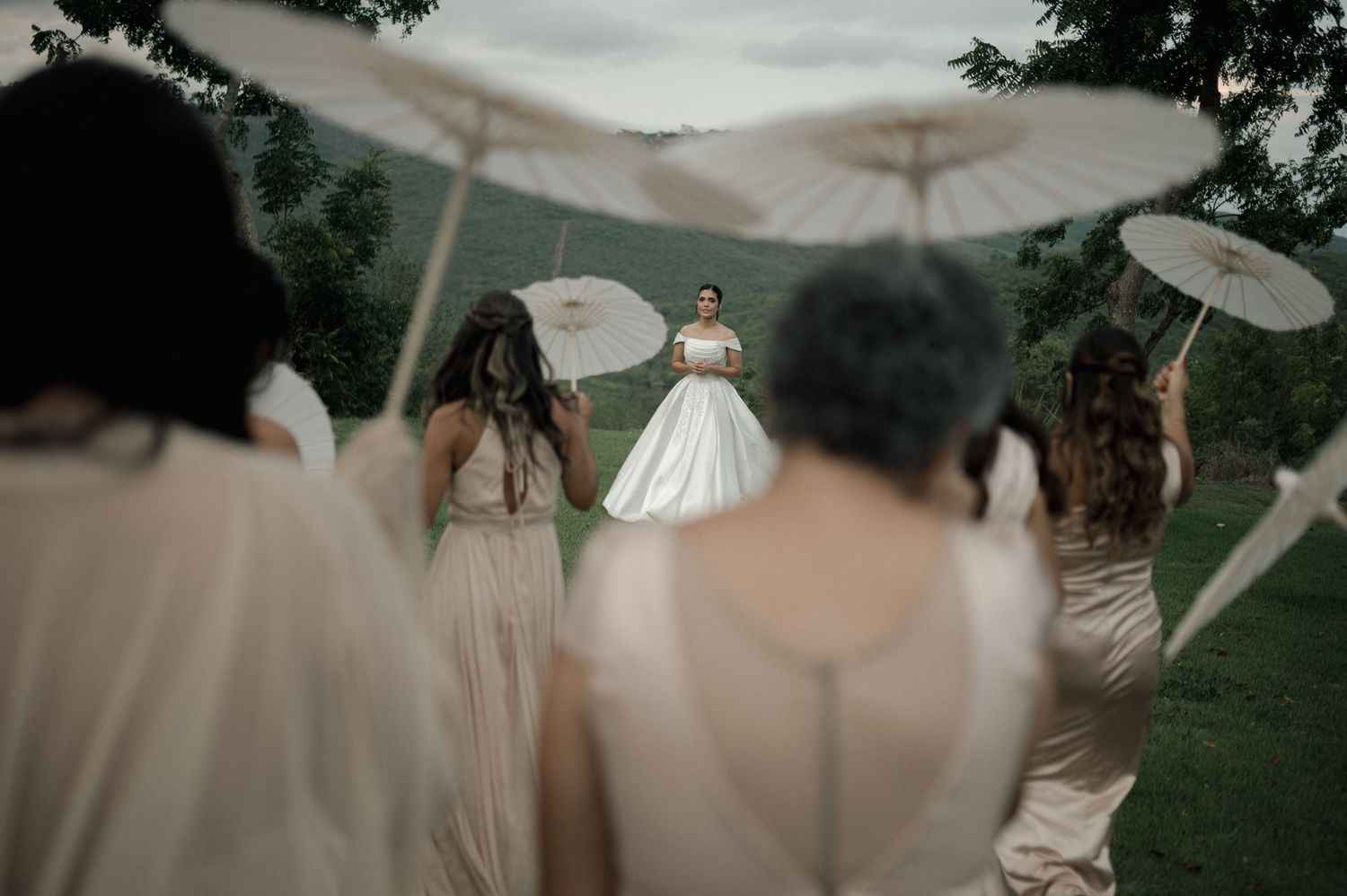 Bride stands before bridesmaids holding white parasols in a lush green outdoor wedding setting.