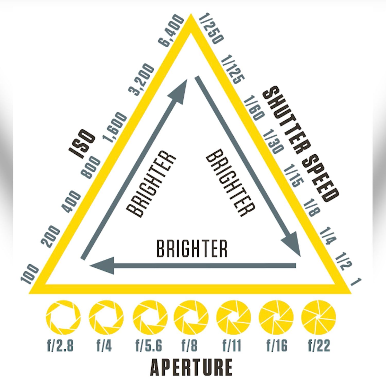 Photography exposure chart showing aperture f-stops, shutter speeds, and ISO sensitivity settings with visual examples.