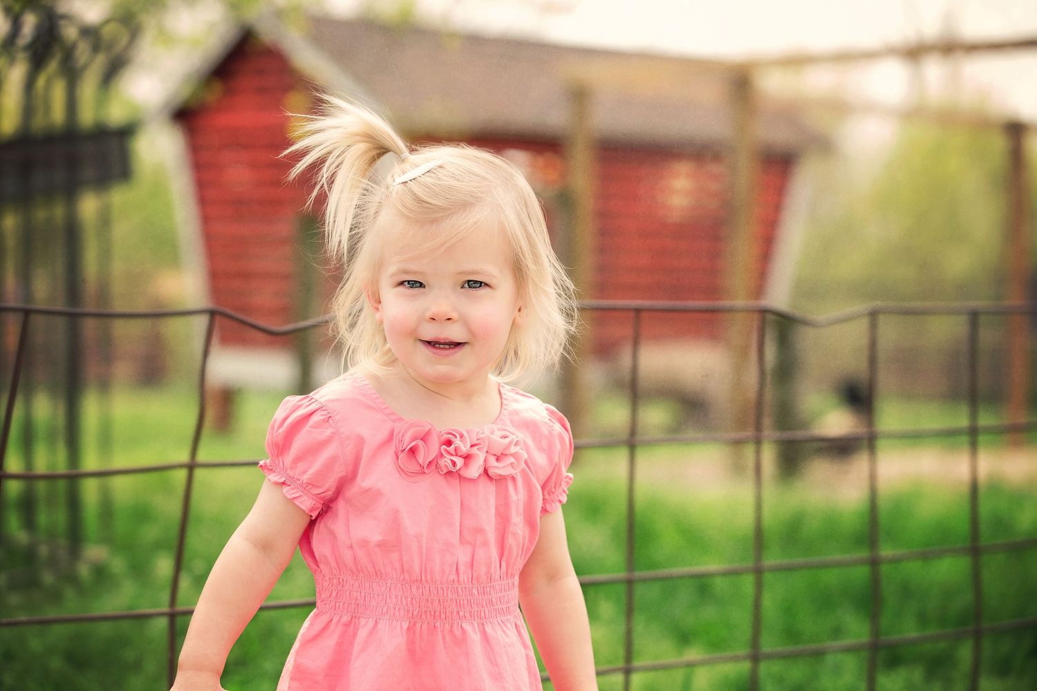 Kensington Metropark Farm Center family and child photography; portrait of little girl by Brighton, MI family photographer