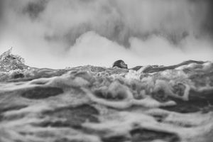 Black and white photo of a surfer's head barely visible above crashing ocean waves.