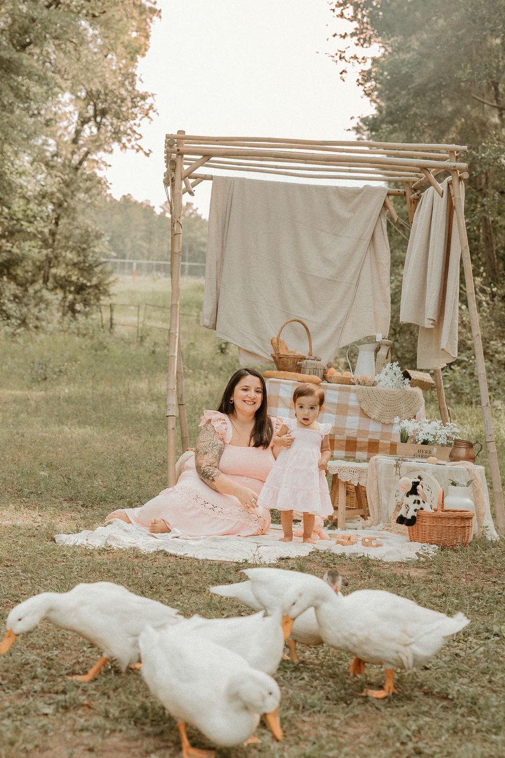 Rustic picnic scene with white geese, laundry drying on clothesline, and vintage-style blanket setup in a meadow at sunset.
