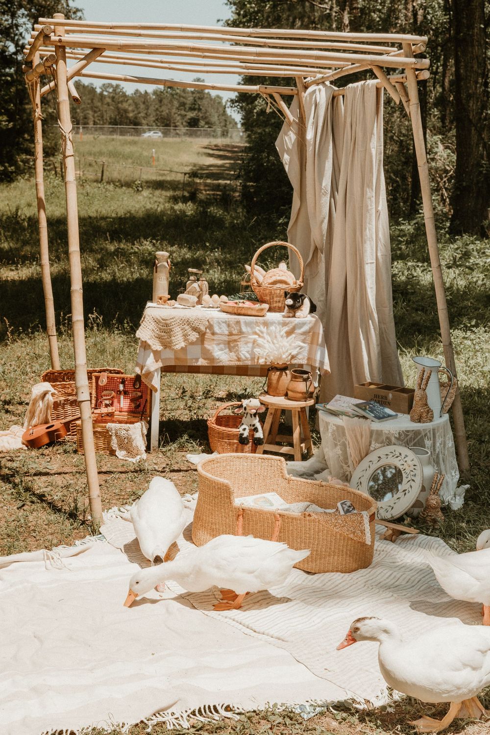 Rustic outdoor picnic setup with wooden pergola, white blankets, and geese wandering around a pastoral countryside scene.