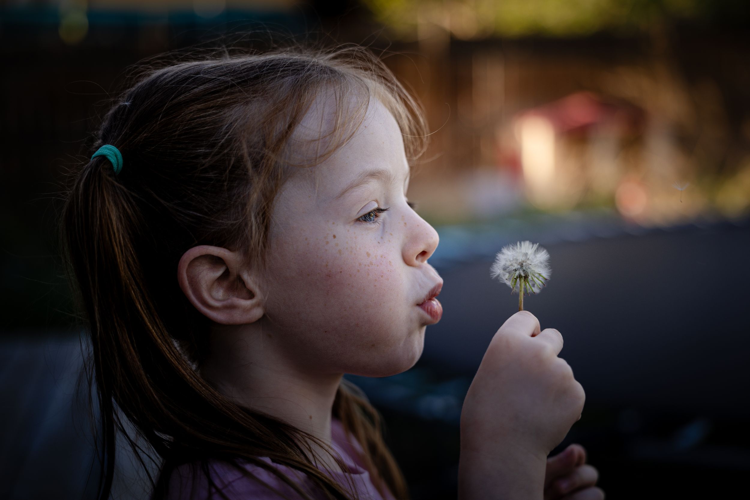 Young girl with pigtails blowing a dandelion wishflower in soft natural bokeh lighting outdoors.