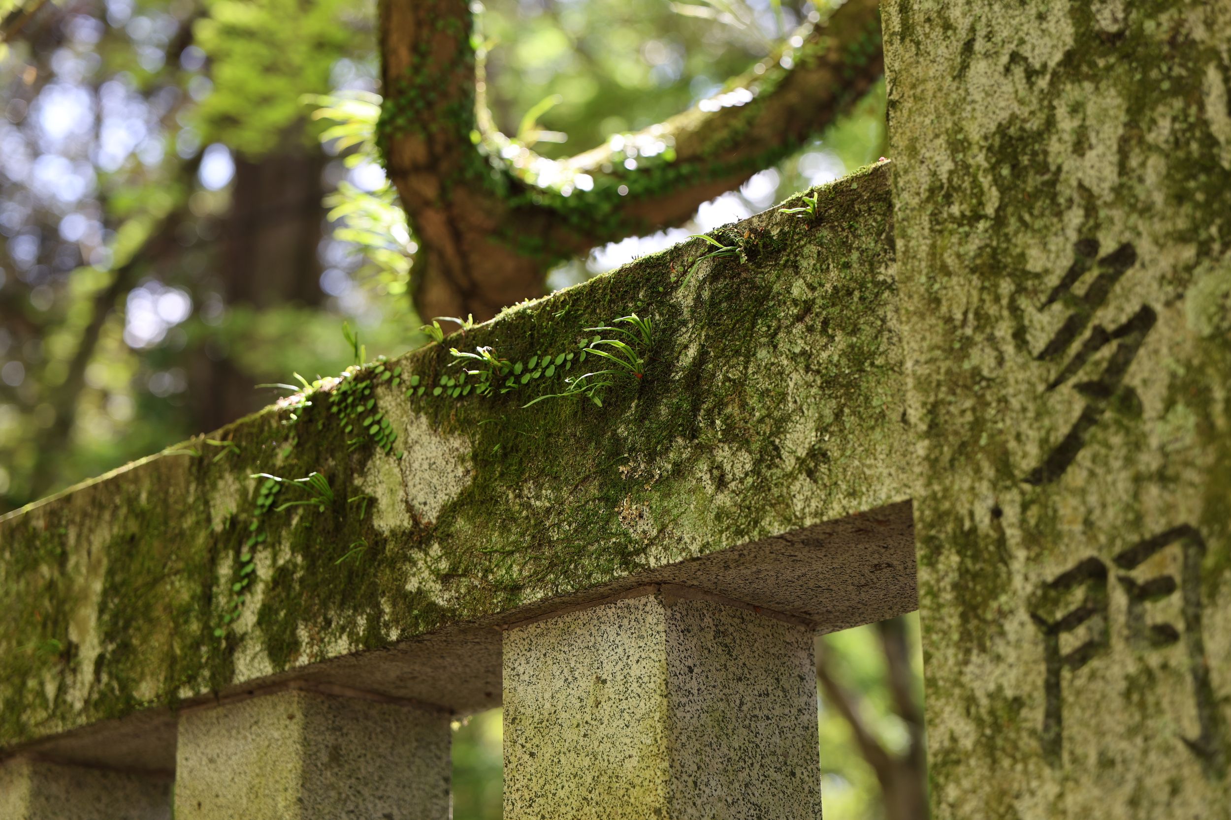 Moss-covered stone gate with carved kanji characters stands in a serene Japanese forest setting.