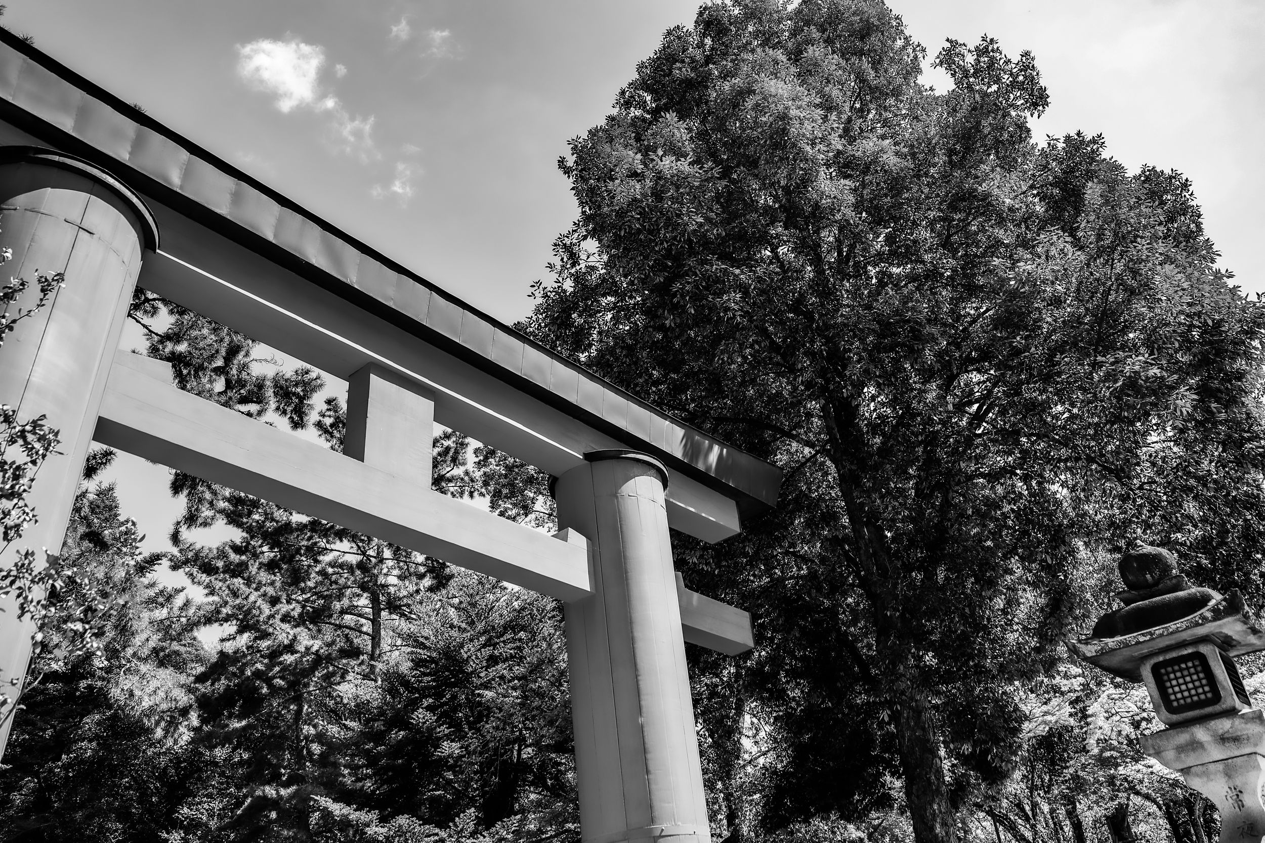 Black and white photo of a traditional Japanese torii gate framed by tall trees against cloudy sky.