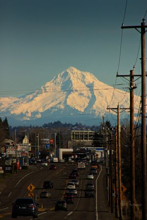 A snow-capped mountain peak rises dramatically above a busy urban street lined with power poles.
