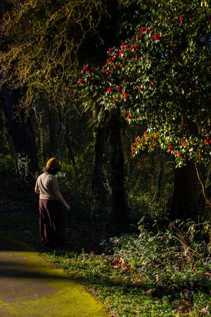 Person standing in a sunlit forest path beside a tree with vibrant red flowers.