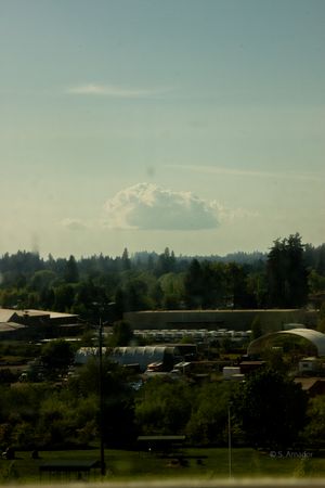 Aerial view of a suburban landscape with trees and buildings under a hazy blue sky with clouds.