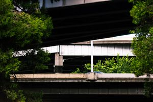 Urban concrete highway overpass layers intersect among lush green trees in a city infrastructure landscape.