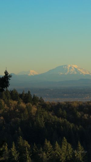 Snow-capped Mount Rainier and Mount St. Helens rise above a forested valley at golden hour in Washington State.