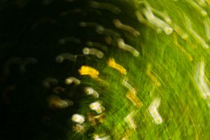 Abstract macro photography of a green leaf with bokeh light spots creating a swirling motion blur effect.