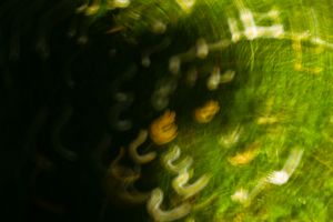 Abstract blurred green and yellow swirling motion photography of outdoor foliage.