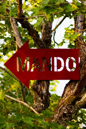 Red arrow-shaped sign reading MANDO mounted in a leafy tree with green foliage and brown bark.