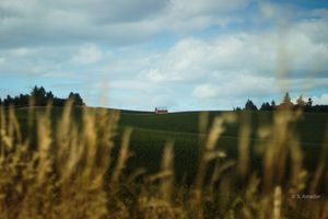A red barn sits atop a lush green hill under a cloudy sky, framed by golden wheat stalks in the foreground.