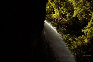 Dark cave opening revealing sunlight filtering through lush green forest trees beyond.