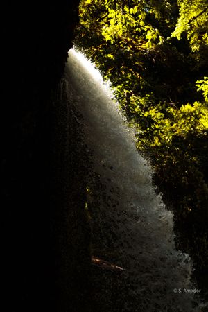 Waterfall cascading through a dark rocky crevice with sunlit green foliage framing the scene.
