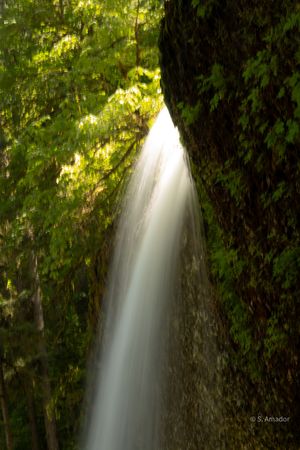 A silky waterfall cascades between mossy rocks surrounded by lush green forest foliage.