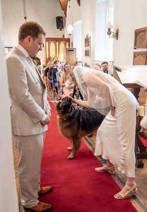 Bride in silk gown pets large German Shepherd dog on red carpet aisle during church wedding ceremony.