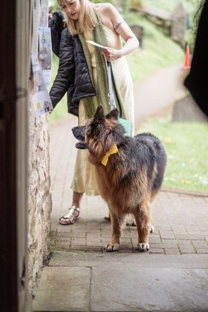 Woman in gold dress holding leash of a German Shepherd dog wearing a yellow bow tie outside a church.