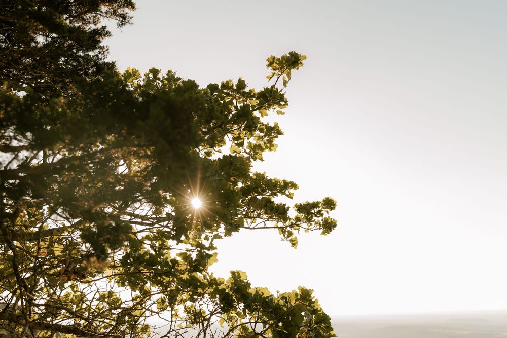 Elopement in Mt. Magazine