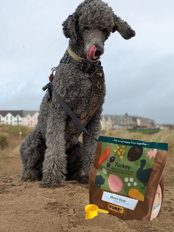 piratedog.co.uk, behaviourist, dog, food, natural, recommendation