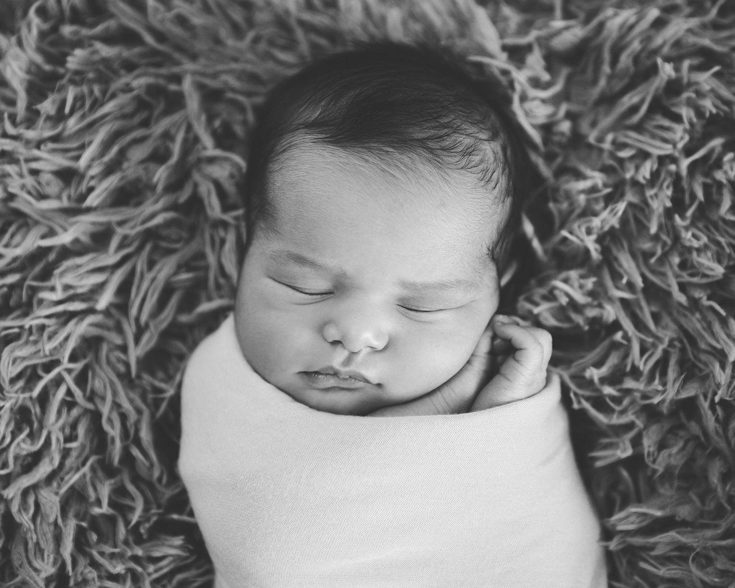 newborn photos, newborn photo session, newborn portraits, best newborn photographer Thornton, best newborn photographer Denver, cute newborn