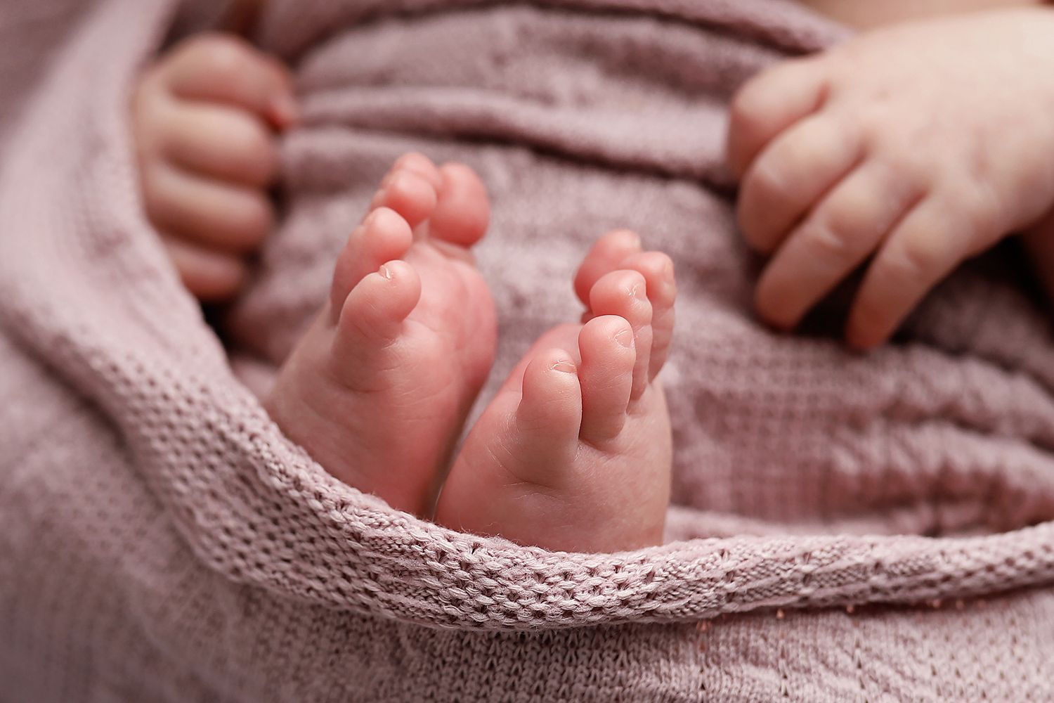 Close-up of tiny newborn baby feet wrapped in soft pink knitted blanket. newborn photos utah