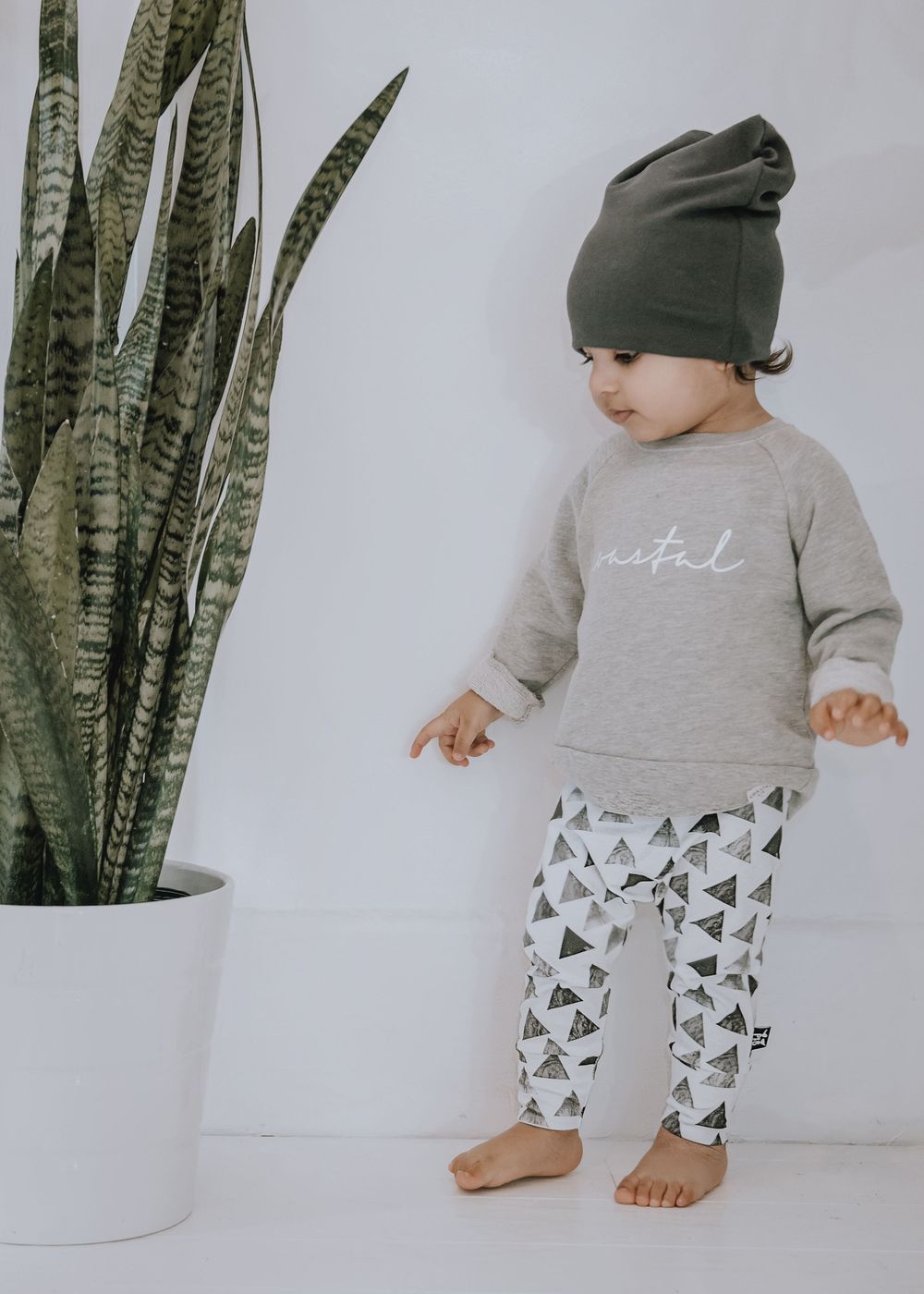 Baby in gray sweater and patterned pants plays near a snake plant against white wall.