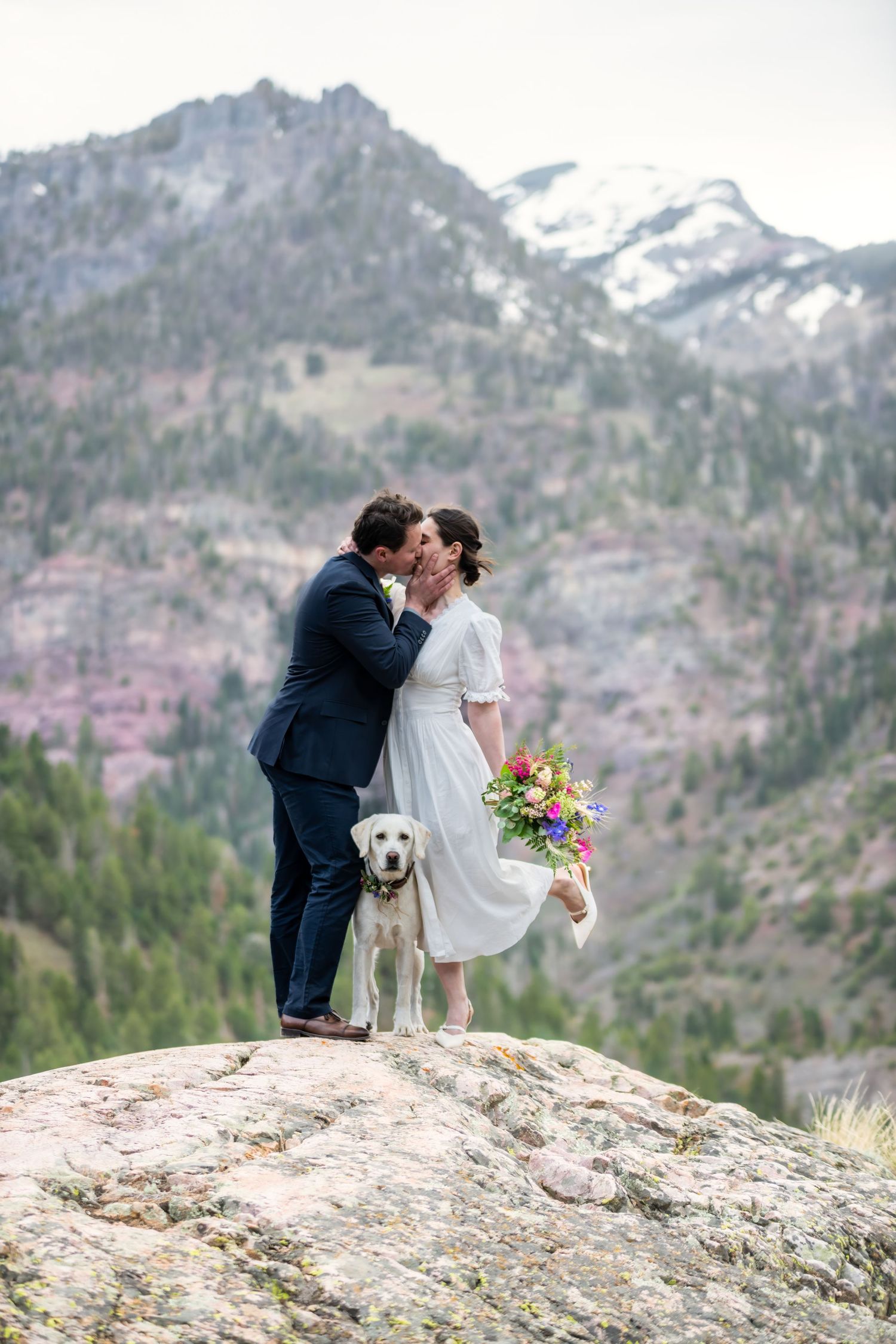 A wedding couple share a kiss on a rocky overlook with snow covered mountain peaks behind them. Their white lab dog is between their legs.
