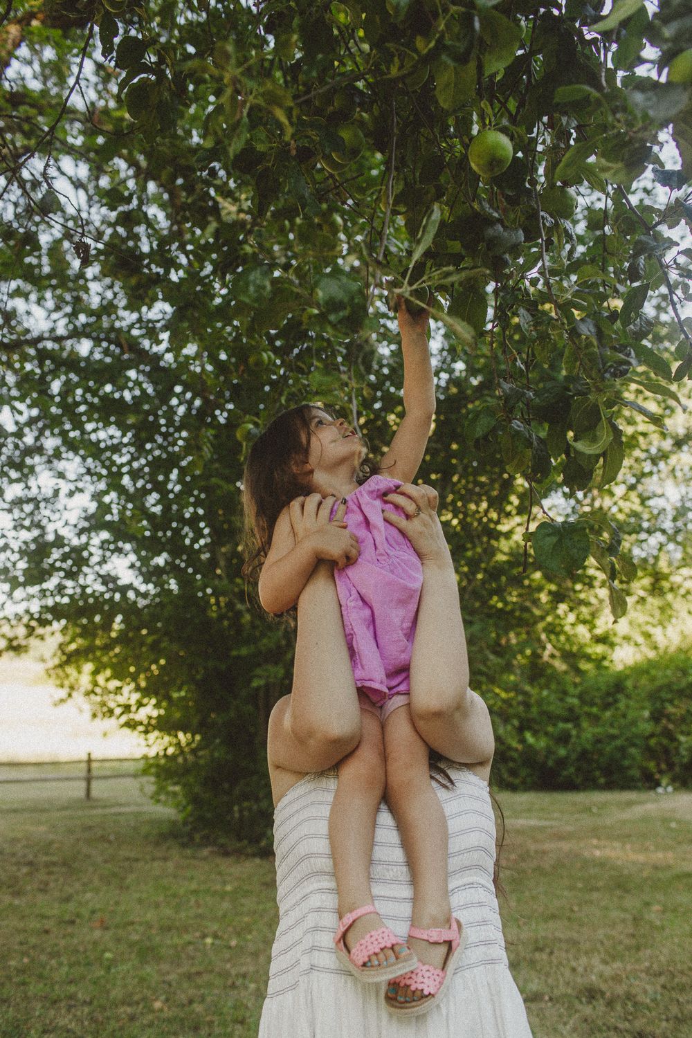 Family photographer Corvallis OR, Family photographer Salem OR, Family photographer Portland OR, Oregon Family Photographer
