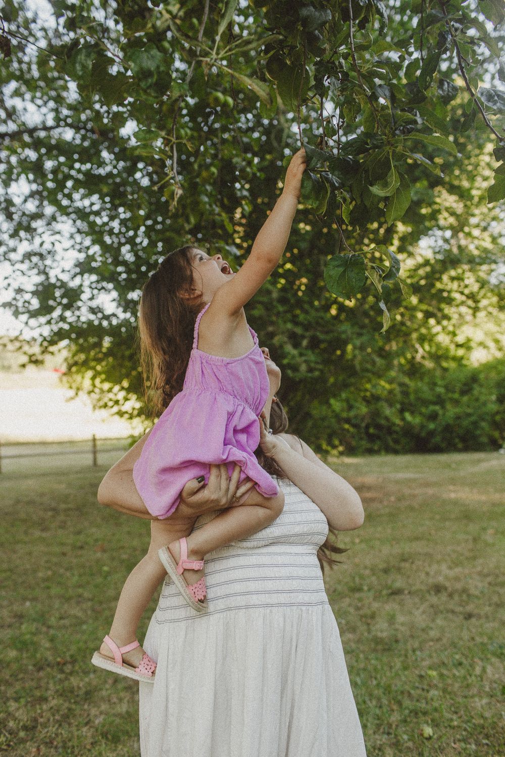 Family photographer Corvallis OR, Family photographer Salem OR, Family photographer Portland OR, Oregon Family Photographer