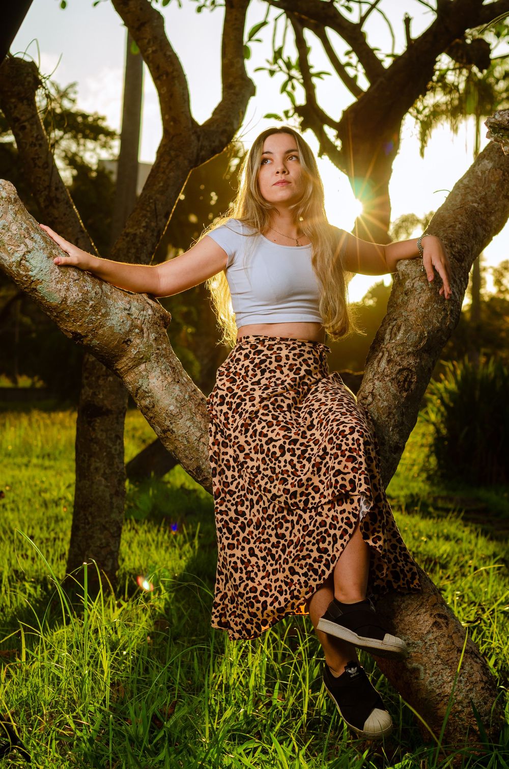 Ensaio feminino na natureza de modelo com cabelo longo sentada elegantemente em um tronco de árvore. Retrato ao ar livre com luz natural.