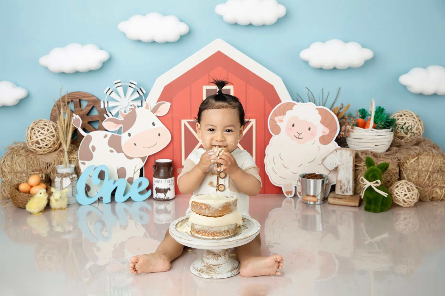 Cute baby photography backdrop with white clouds, pink barn, and adorable plush toys arranged on blue background.