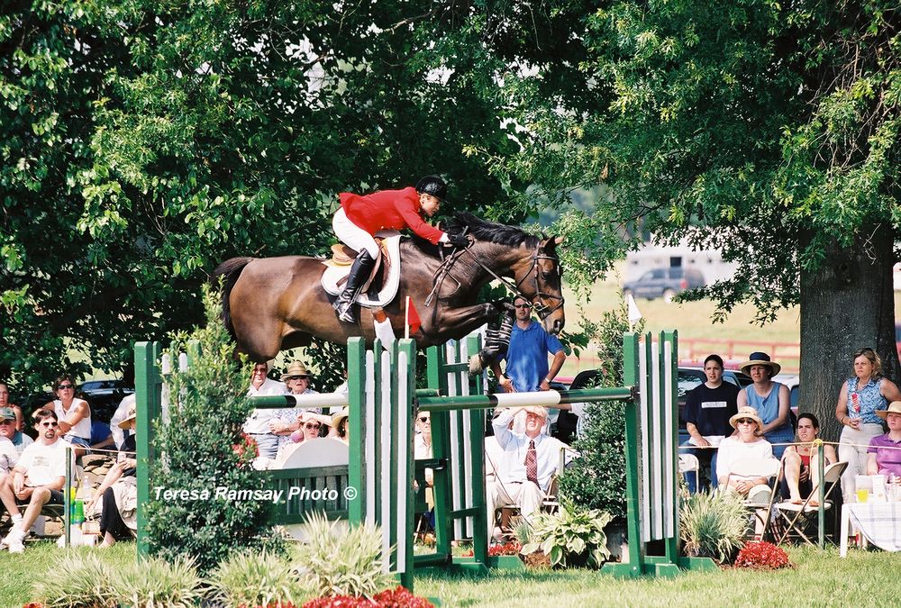 A horse and rider clearing a green jump fence during an equestrian show jumping competition.