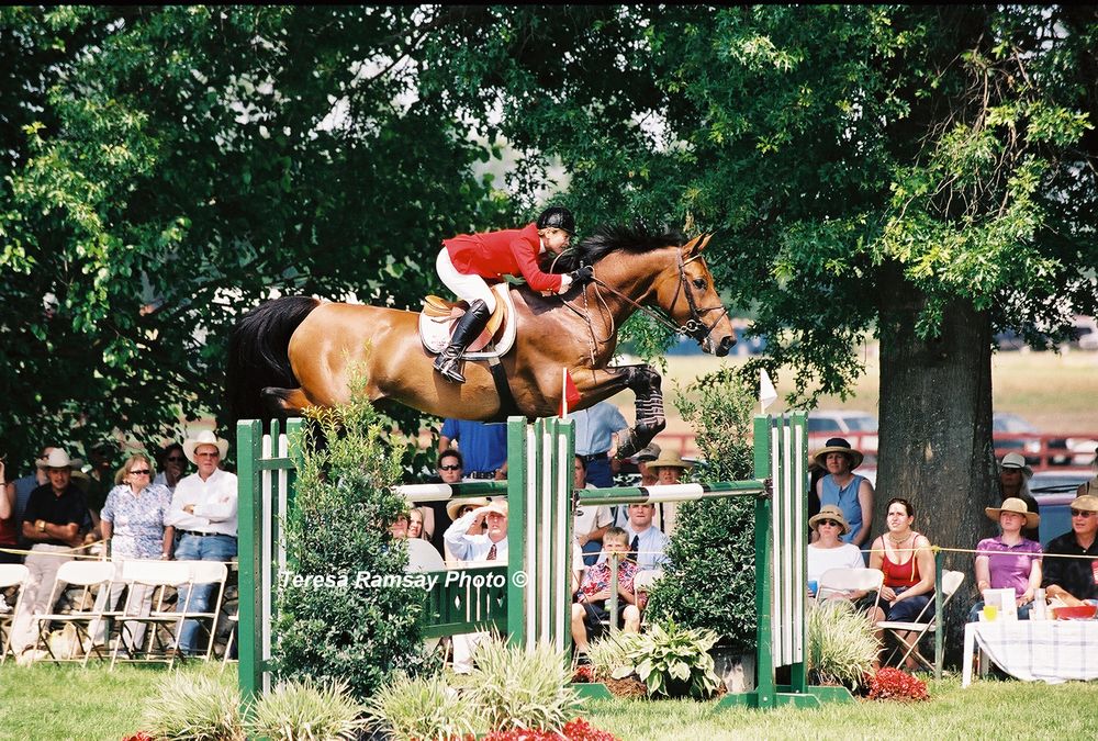 An equestrian rider in red jacket clears a high green and white jump on a chestnut horse as spectators watch.