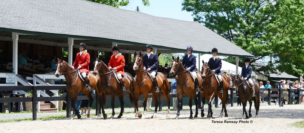 Horses and riders galloping along a racetrack during an equestrian competition event.