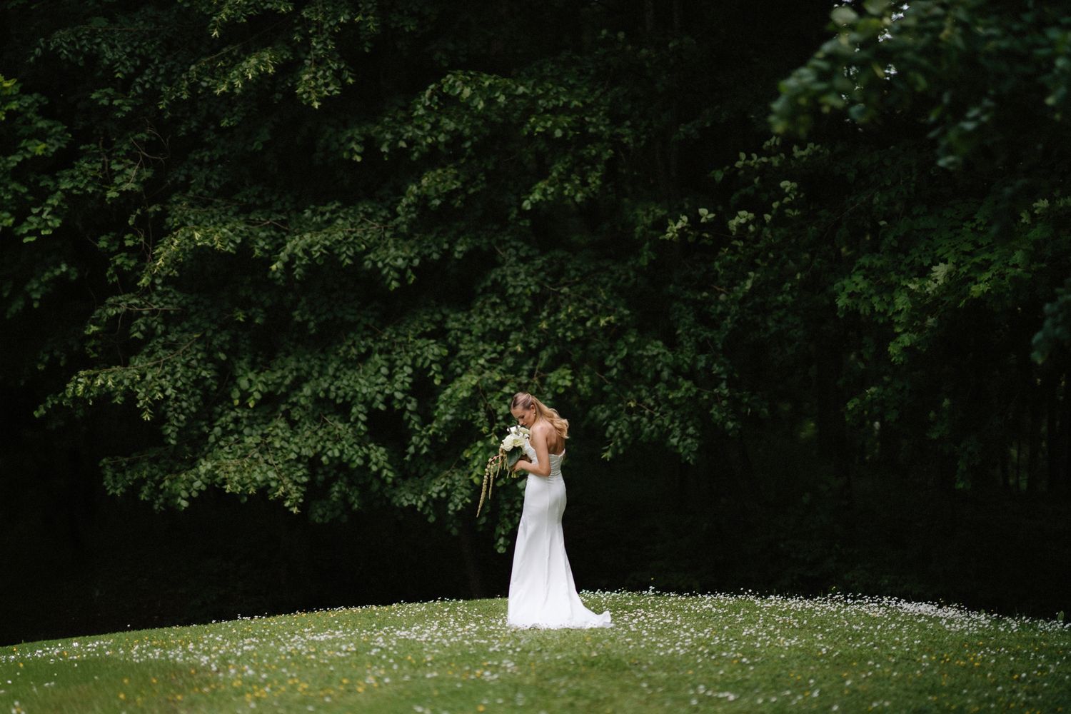 Couple shares intimate moment on grassy hill surrounded by lush greenery.