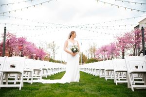 String lights and white chairs line an outdoor wedding ceremony setup with blooming pink cherry blossom trees. Hilton Garden Inn Perrysburg.