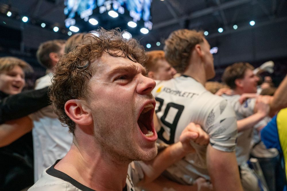 Crowd at a sports event cheering and celebrating with intense excitement and passion.