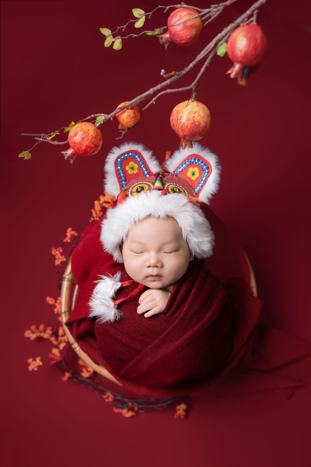 Seattle best Newborn photo
seattle Newborn photographer recommendation
Bellevue best newborn photo
Seattle milestone photo
Seattle family ph