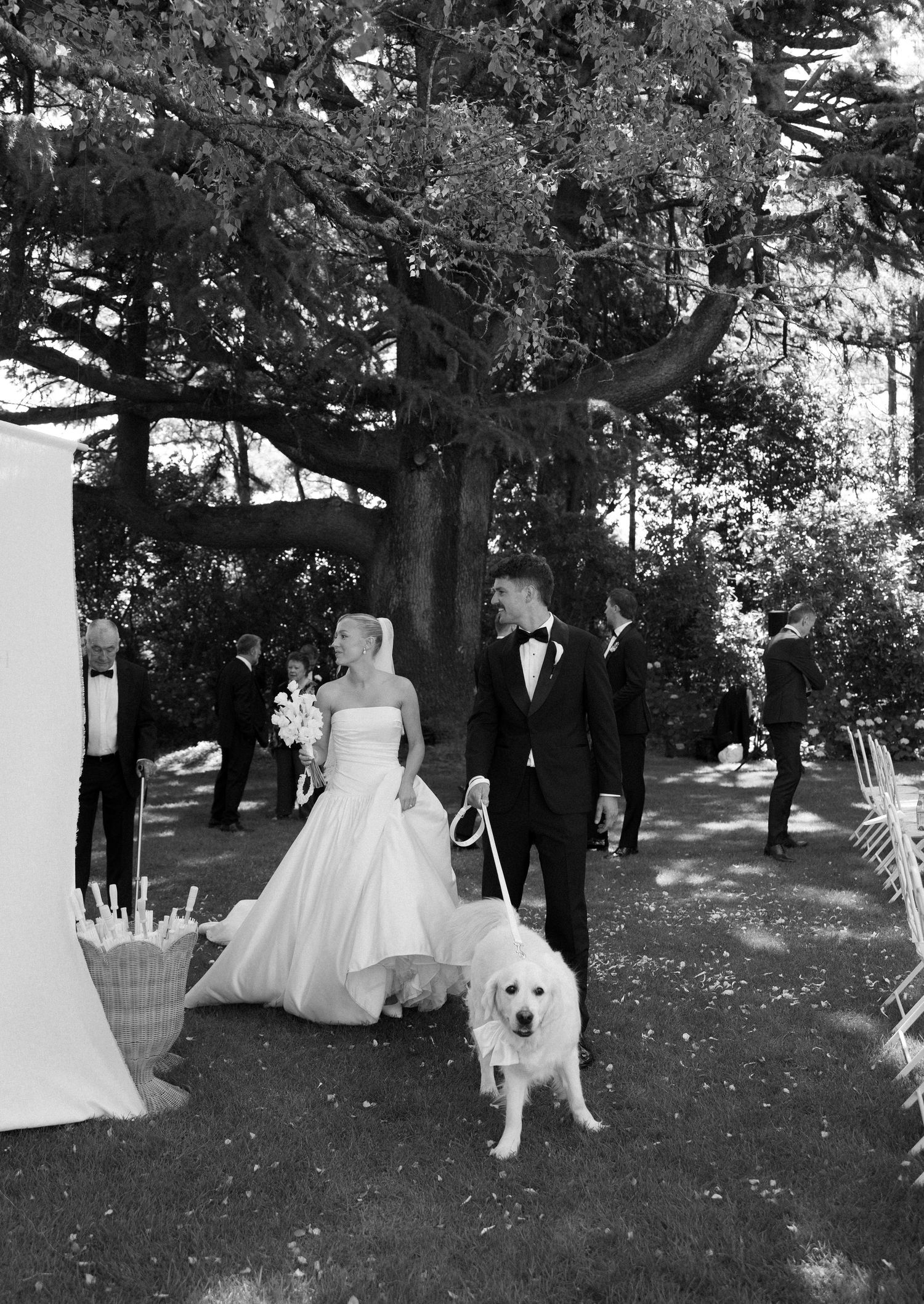 Black and white wedding photos show a bride in a ballgown with a white dog in an outdoor garden setting.