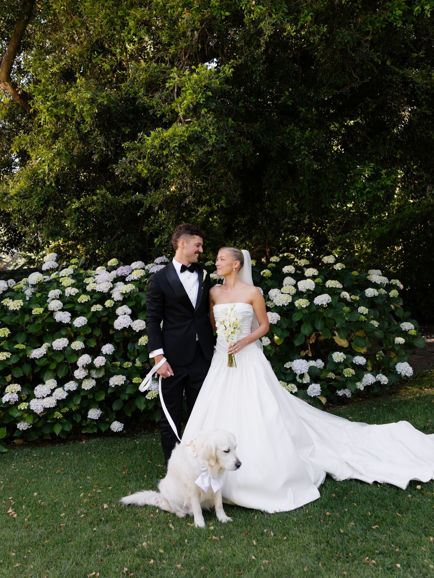 A couple in wedding attire sits on grass with their white dog beside white hydrangea bushes in an outdoor garden setting.