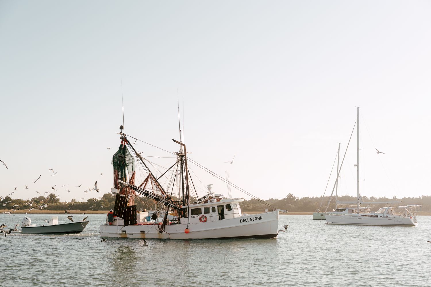 Multiple fishing boats and sailboats anchored in a calm harbor with one vessel partially submerged in the water. Beaufort, NC Photographer