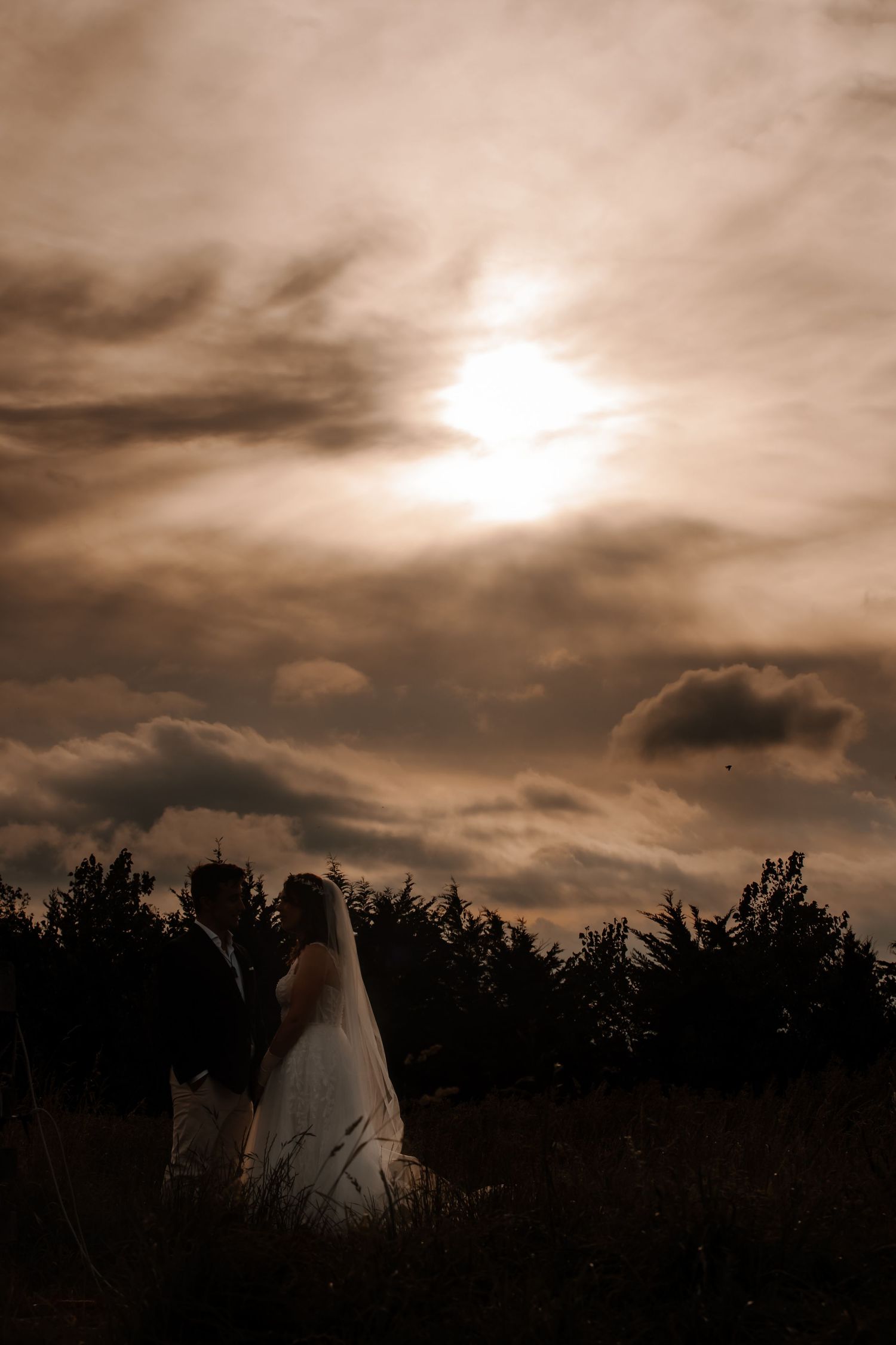 Silhouettes against a dramatic sepia sunset with cloudy sky and treeline in the background.