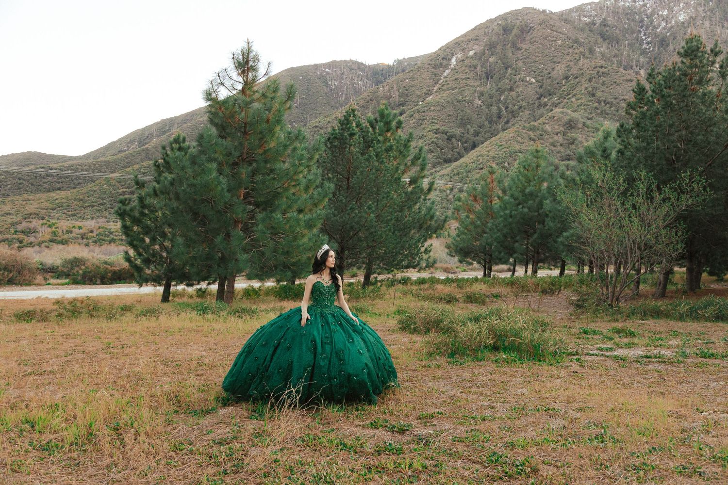 A person in an emerald green ballgown twirls in a mountain meadow surrounded by pine trees.