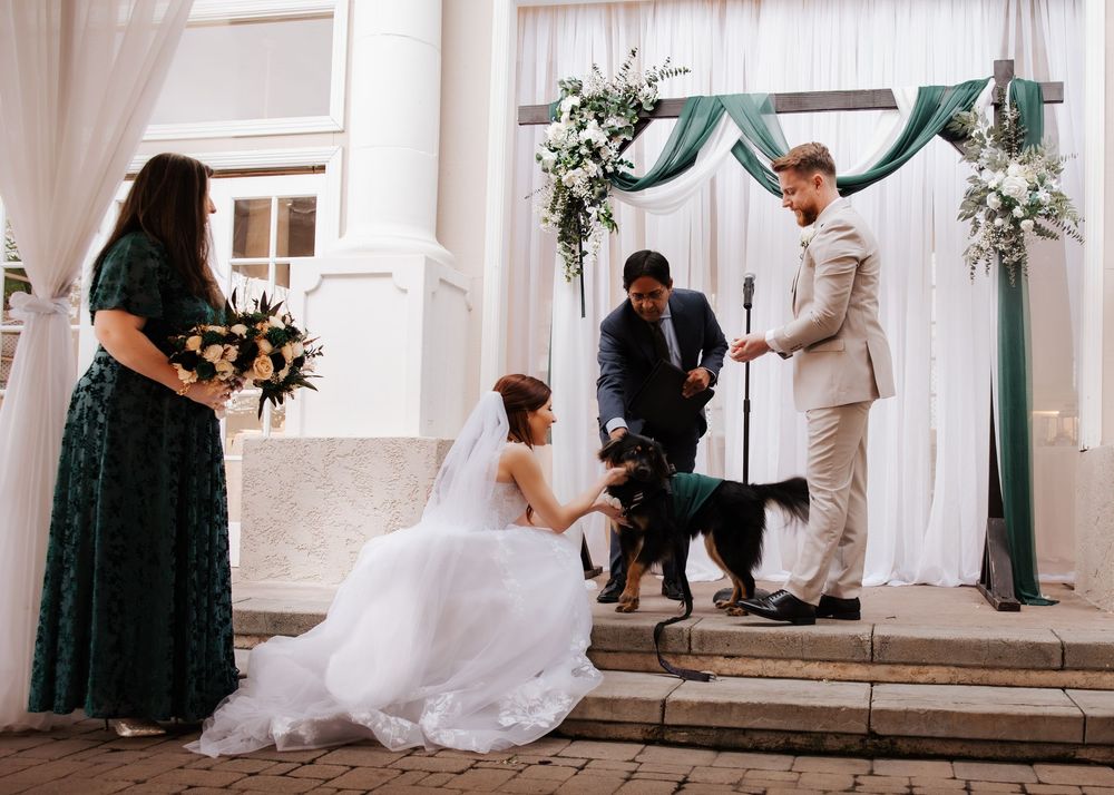 Bride in white gown pets black dog while officiant and groom stand at green draped altar.